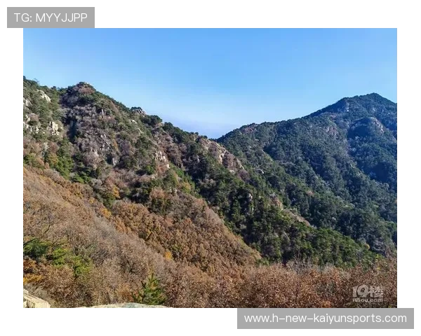 山东泰山通过内外结合完成漂亮推进