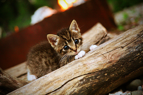 开云在线入口-持球突破型球员如何避免进攻犯规,持球突破时防守人哪些动作是犯规的