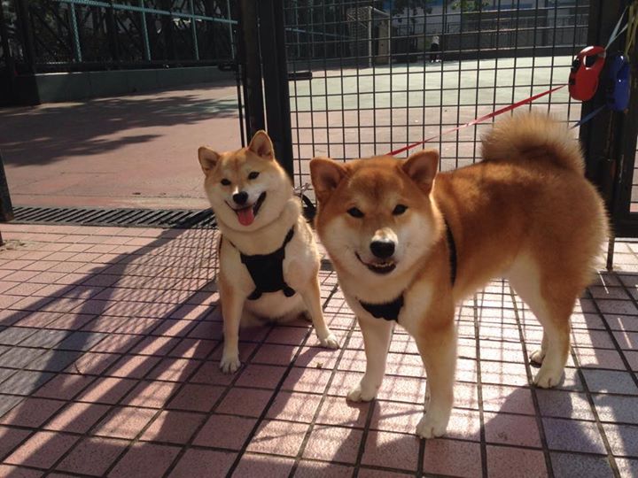 开云体育app官网-比赛节奏受裁判判罚影响有多大,在比赛中如果选手的基本节奏错误