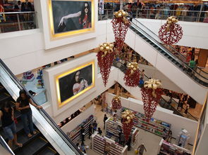 开云体育在线官网-迈向未来：Chinese Taipei团队在国际赛场的崭新发展，chinese of taipei