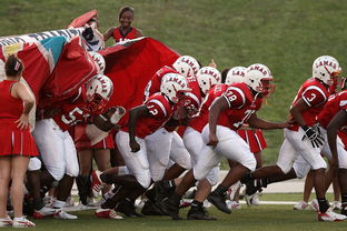 开云体育在线登入-青少年体育社团快速发展 激发校园活力，体育社团开展