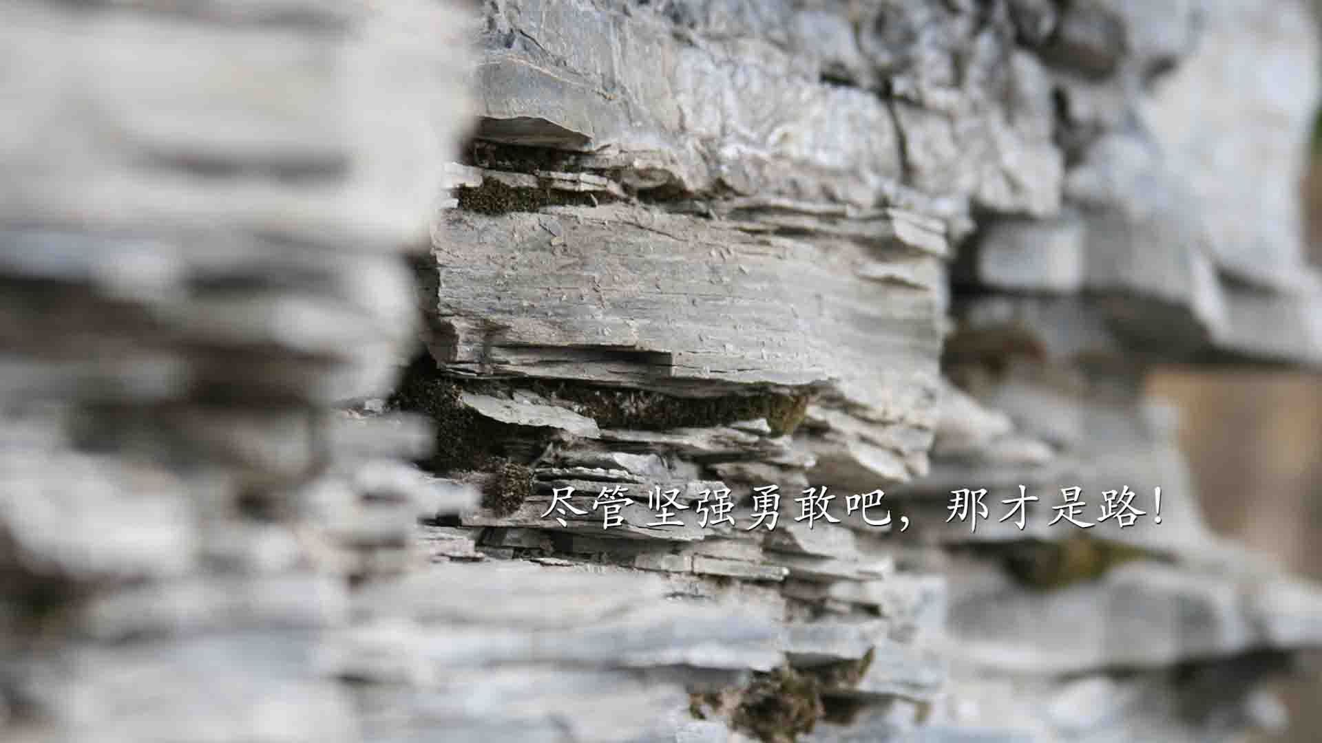 开云体育在线-中国女篮挑战世界强队积累宝贵实战经验，中国女篮世界杯战绩