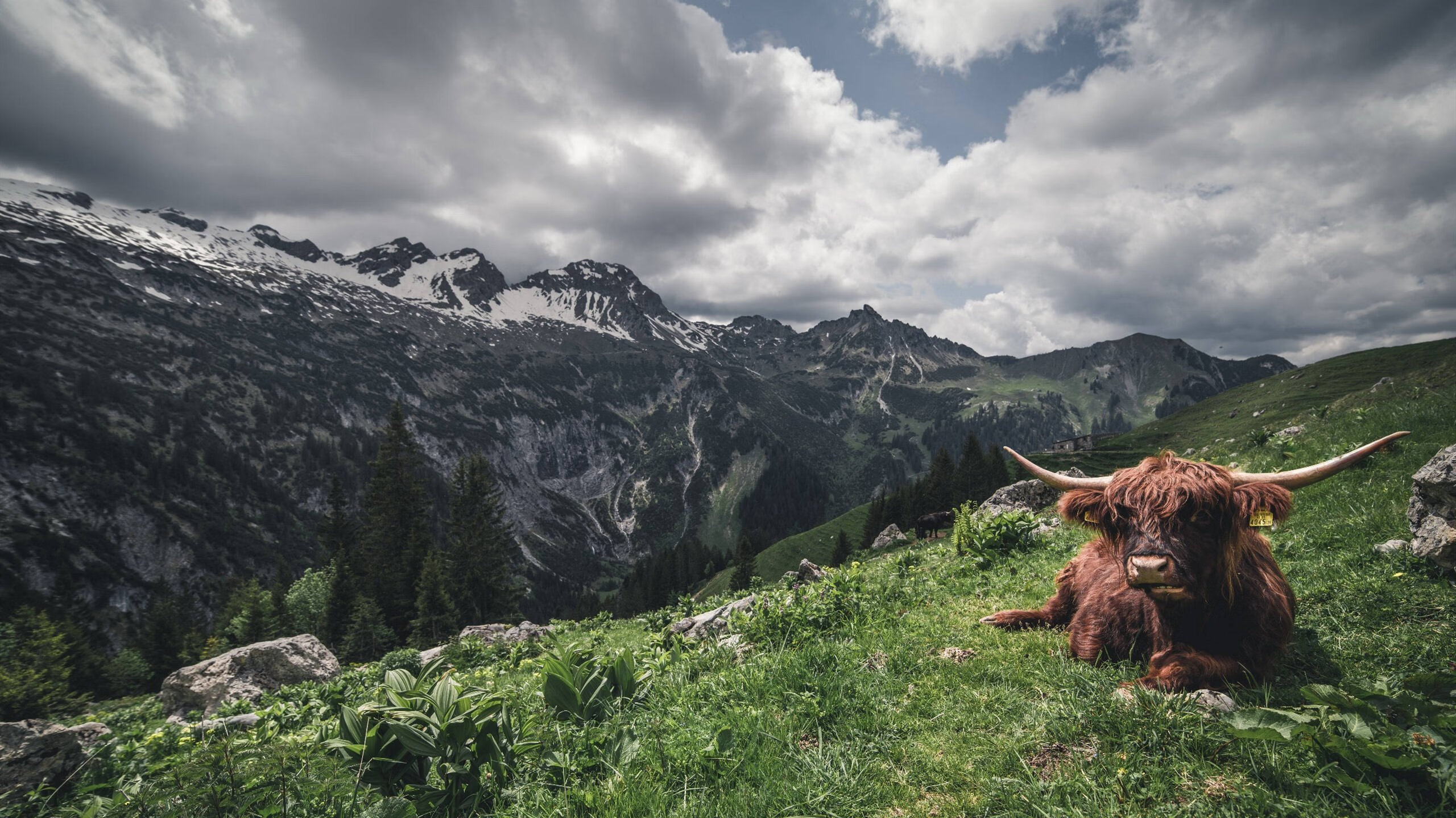 开云体育app官网-中甲联赛优化夜场赛事灯光系统提升视听体验