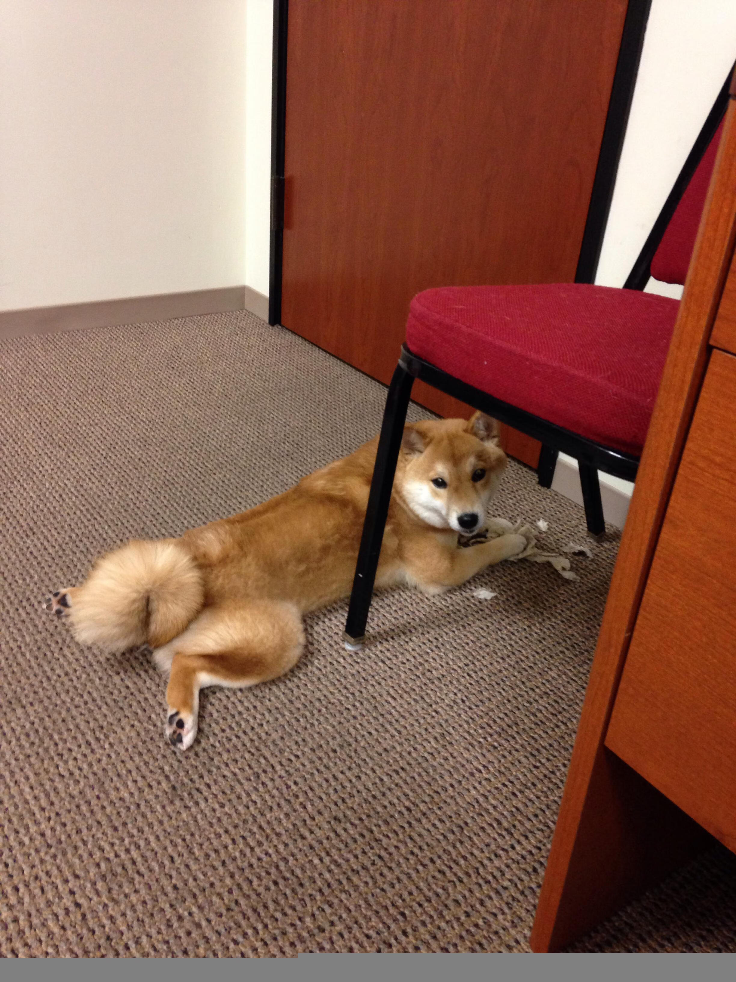 开云体育在线官网-乔治·巴尔：全黑队的“防守型中场”，他的拦截总是及时且精准