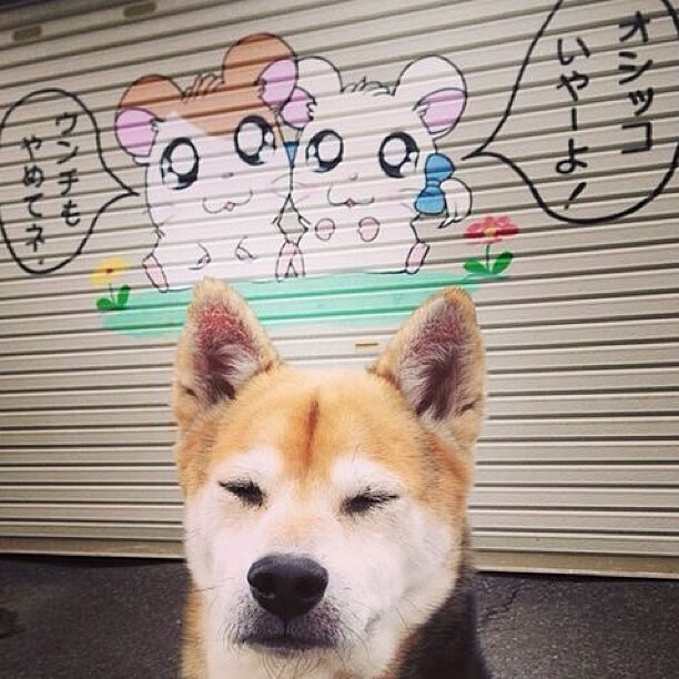 开云体育-哈登签约新东家NBA总决赛，哈登签约新东家nba总决赛了吗