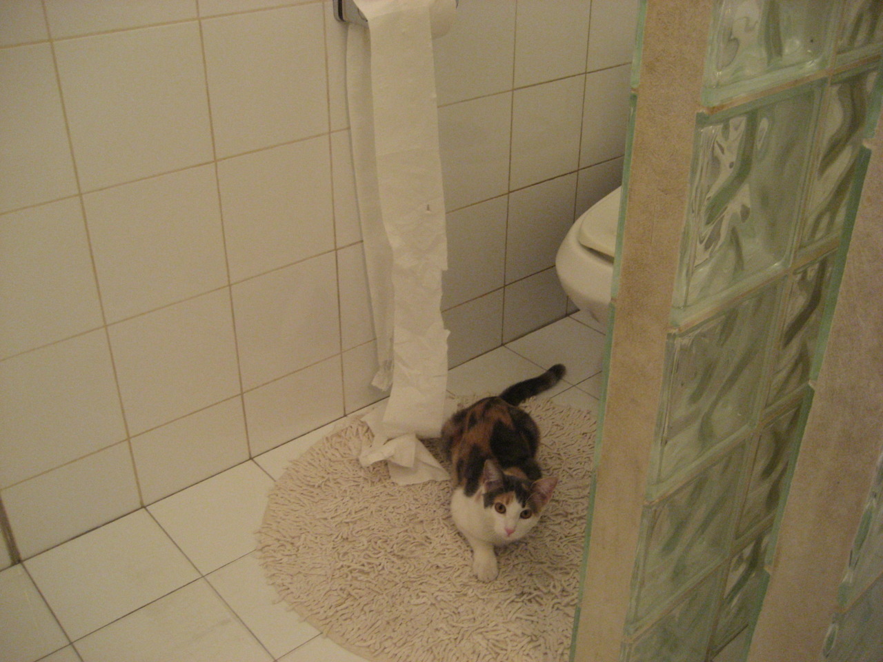 开云体育登录入口-老将重回首发名单凭借经验引导年轻球员稳定比赛节奏,老将nba