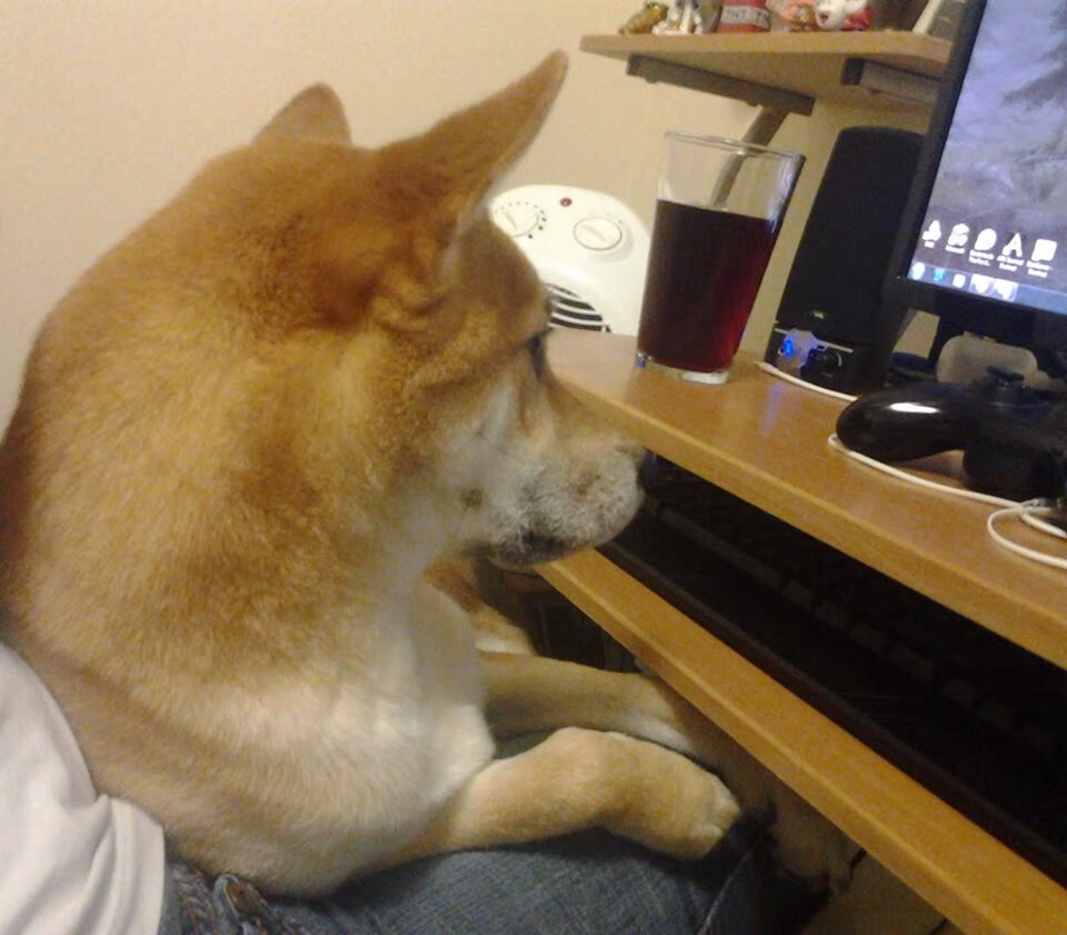 开云体育官网登入-西甲决战时刻:明星日韩显神威!,西甲经典比赛