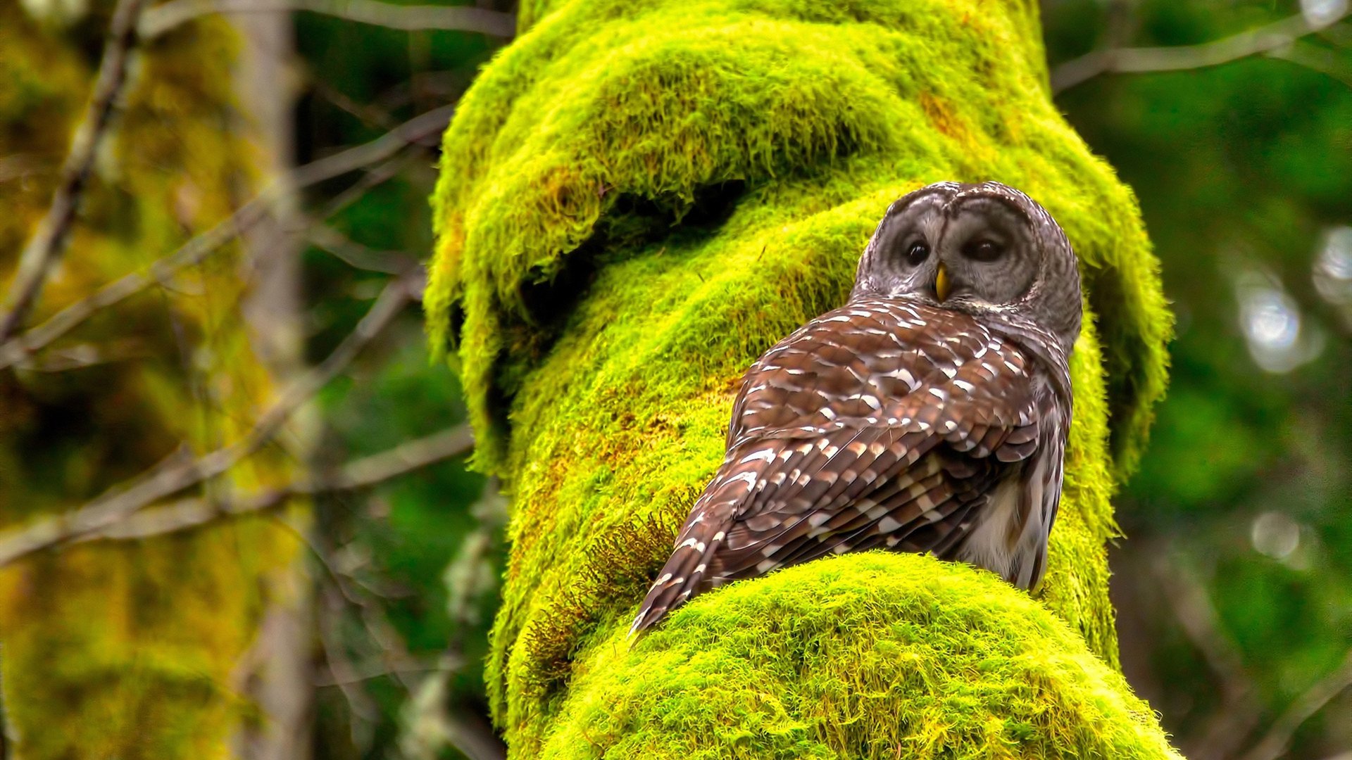 开云体育网站-训练基地设置心理辅导环节提升青少年球员抗压与自信能力,对青少年运动员进行心理训练的注意事项